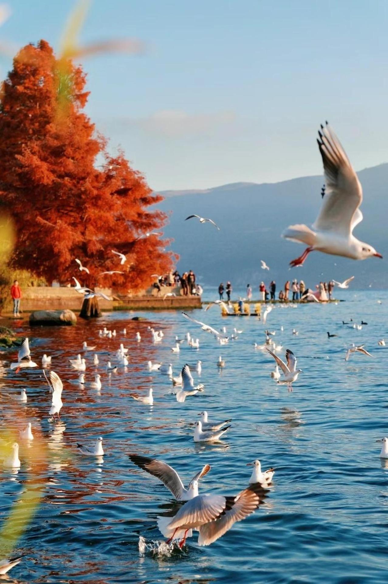 Dali Nest Secret Garden Lake View Inn Экстерьер фото